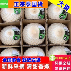 泰国椰青  9个大果原箱新鲜椰子椰青孕妇香椰正宗进口(8.1KG以上)