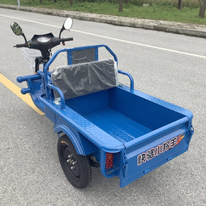 电动三轮车摆摊拉货车新款家用电瓶车成人代步车小型平板车接孩子