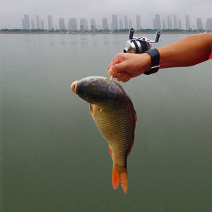 弹弓工射鱼枪神器套装弓箭鱼轮无弓打鱼抢镖鱼标鱼鳔神器包邮促销