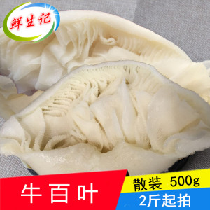 新鲜毛肚水发牛百叶500g白煮千层肚牛肚白毛肚冷冻鲜毛肚火锅食材图片