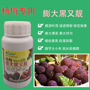 专用调节剂膨大杨梅素肥料专用肥生长植物叶面肥果树增甜黑亮