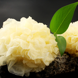 新鲜银耳一棒三朵