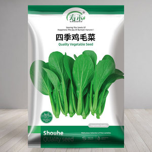 速生鸡毛菜上海青菜种小白菜香菜菜籽四季阳台盆栽籽种种子孑