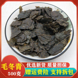 中药材 毛冬青500克包邮 天然纯 云南毛冬青茶 毛冬青叶 新鲜干货