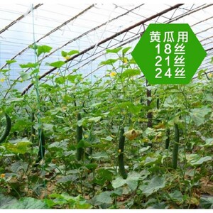 豆角瓜果大棚吊菜绳子细尼龙绳2mm细绳吊绳搬运葡萄架拉线苹果