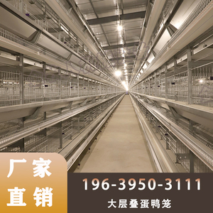 全自动蛋鸭笼 蛋鸡笼价格 养殖设备报价 蛋鸡投入成本 层叠鸡笼