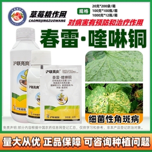 上海沪联亮爽 33%春雷霉素喹啉铜酮 黄瓜细菌性角斑病农药杀菌剂