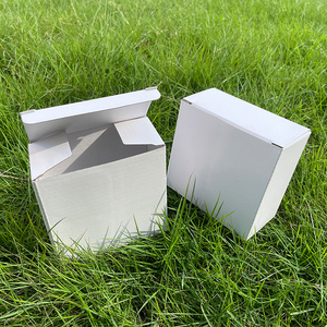 现货白色瓦楞纸  2mm 方形白盒 10x5x10cm 印刷包装盒 通用纸盒