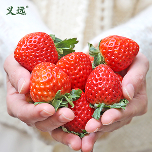 莫干山义远有机草莓越心礼盒装整箱一盒顺丰速运包邮非丹东红颜99