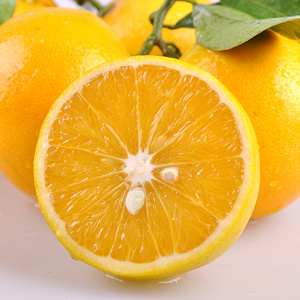 新鲜秭归脐橙 甜橙桃叶橙 现摘水果3斤