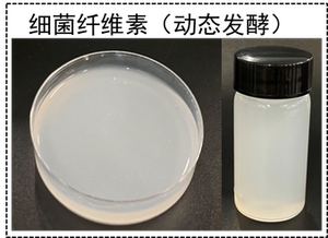 细菌纤维素(bacterial cellulose)bc  闪思科技sciencek