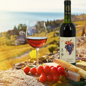 【马裕柔丁香系列】龙眼葡萄露酒   8090儿时喝的甜甜酒低度微醺