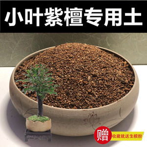 小叶紫檀土黑骨茶专用土营养土颗粒土种植土风化土红土盆景土盆栽