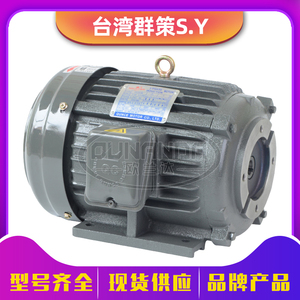 台湾群策SY液压油泵专用内轴电机C01/C02/C03/C05/C7B/C10-43B0