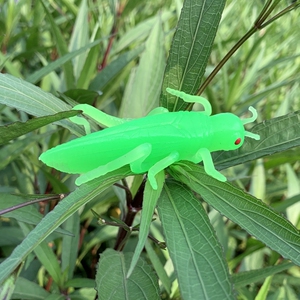 软胶蚱蜢仿真蚂蚱荧光绿蝗虫幼儿园儿童玩具静态昆虫动物模型摆件