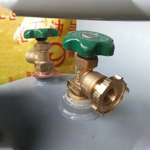 新标准50公斤kg液化气钢瓶双嘴液相煤气罐阀门角阀转换接头配件