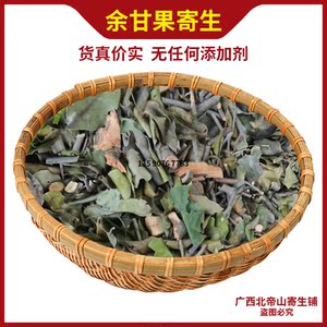 广西野生油柑果寄生牛甘果油甘果寄生油金子余甘果寄生中草药500g