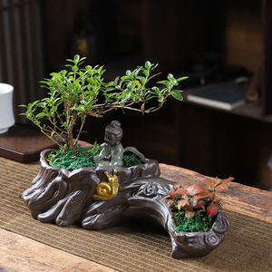 盆景专用花盆植物长方形陶瓷紫砂高档特价清仓包邮批发创意大口径