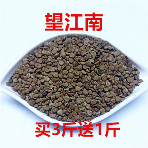 望江南 羊角豆 野扁豆 望江南子 山绿豆 伸筋豆1斤包邮买3斤送1斤