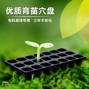手动玉米育苗穴盘播种器多肉叶插盘营养钵扦插盘秧苗盘草莓点播器