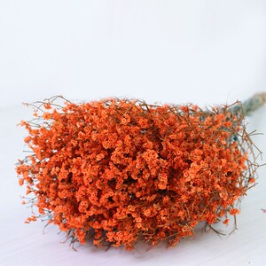 彩色水晶草干花鲜花真花风干染色云南基地直发家居装饰情人草花材