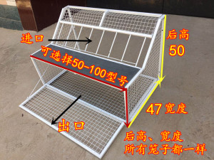 鸽子跳笼 信鸽赛鸽用品用具 鸽棚鸽舍进口 只进不出跳笼 放飞笼门