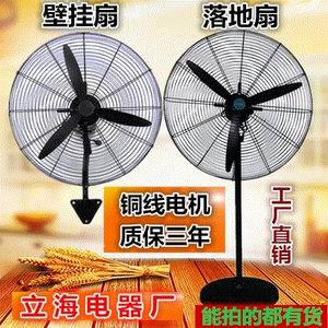 工业风扇落地扇750mm