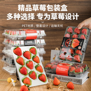 防震防压草莓托专用盒精品包装礼盒一次性水果透明塑料打包盒子