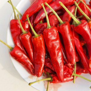 锅巴商行调料批发淘宝500g福建古田辣椒王干辣椒特级周黑鸭特香特辣