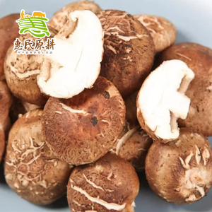 惠民原耕 新鲜香菇3斤 非干货 农家湿蘑菇冬菇火锅煲鸡汤食材蔬菜