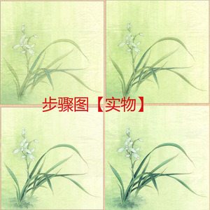 工笔画打印白描底稿小品兰花有步骤图和文字说明初学者勾线练习
