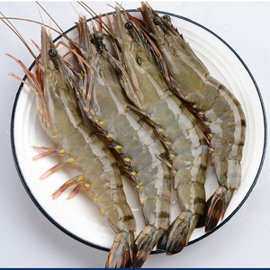 黑虎虾苗 斑节对虾苗 花虾苗 草虾苗 鬼虾苗 空运