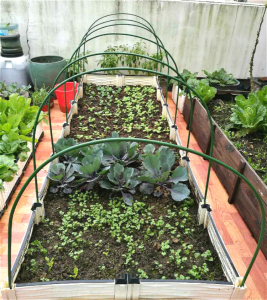 露台大棚骨架钢管简易温室防水冬天花草暖养殖鸡防护网防风棚架