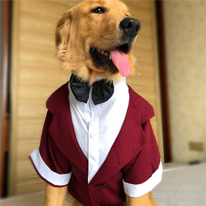 宠物结婚柯基西装衣服小狗西装中大型犬礼服泰迪博美金毛狗狗西服