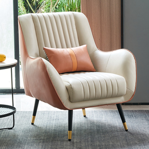 单人沙发北欧轻奢简约小客厅卧室阳台科技布洽谈休闲懒人老虎椅子