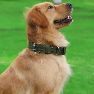 狗狗项圈脖圈大型犬中型大型犬拉布拉多大狗可调节结实脖子套防脱