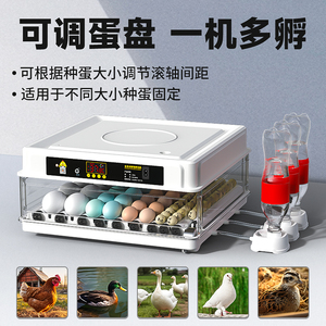 孵蛋器水床小鸡芦丁鸡孵化器小型机器家用全自动智能孵化箱孵化机