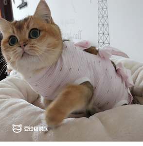 包邮可定做纯棉透气猫咪母猫宠物服装背心绝育服断奶服术后服