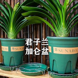 新加仑盆三代加厚控根塑料花盆绿萝君子兰小中大号家用排水透气