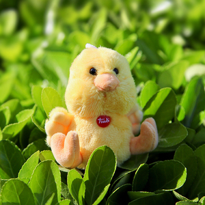 【萌小鸡玩具】萌小鸡玩具品牌,价格 - 阿里巴巴