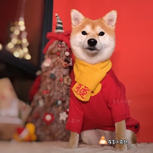 柴犬毛衣新年发财宠物狗过年红衣服装虎年针织衫拜年写真拍照柯基