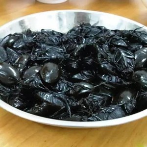 东北黑龙江冷水中号黑色龙虱水老鳖盖水龟 水蟑螂食用昆虫1斤