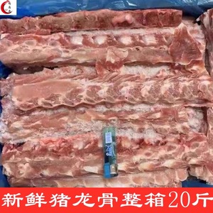 新鲜猪龙骨 冷冻猪背骨整箱20斤带肉猪大骨酱大骨饭店食材专用