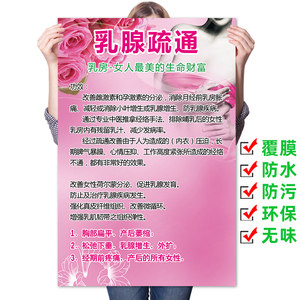 乳腺疏通海报宣传画写真胸部保养功效按摩保健挂图定制美容馆图片