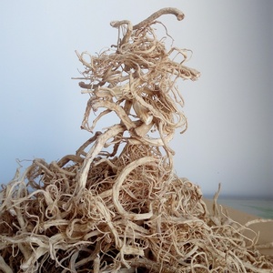 西洋参须根花旗参须子250克白参洋参毛须段根碎须子煲汤泡水散装