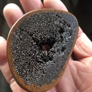 远古猛兽剑齿虎化石冰川时期 猛犸牙时代 高端把玩收藏送礼佳品