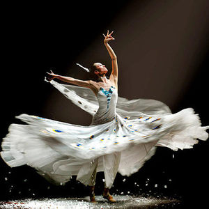 杨丽萍孔雀舞演出服