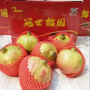 山东枣庄特产石榴