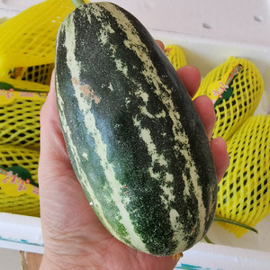玻璃翠甜瓜