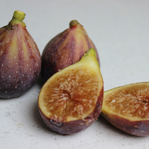 青紫无花果盆栽苗当年结果 包成活包对版